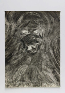 download-162-211x300 Brice_Guilbert_Untitled
