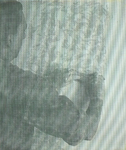 download3-253x300 download