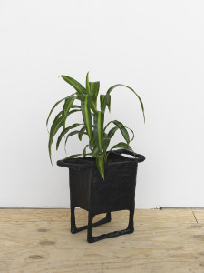 Vogt_0038-225x300 Amber_Renaye_Planter